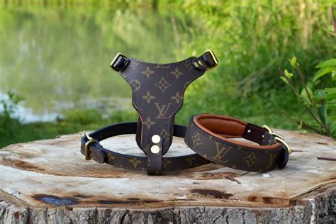 louis vuitton dog leash and collar|louis vuitton small dog harness.